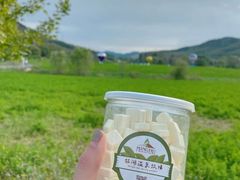 -大连铭湖国际观光牧场