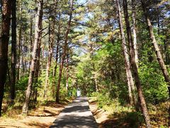 -帽儿山国家森林公园