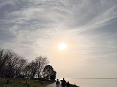 -泗洪洪泽湖湿地景区