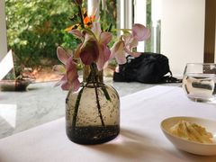 -蝶舍·MAISON PAPILLON