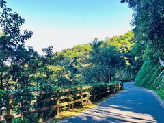 -阳台山森林公园