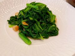 -茉里乐章(花园店)