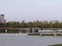 -群力丁香公园