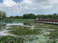 -长兴太湖图影湿地文化园
