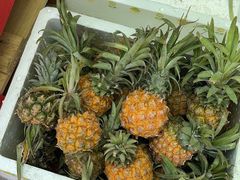-双福水果批发市场