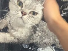 -博特宠物医院24h犬猫全科.骨科·异宠