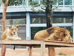 -昆明动物园