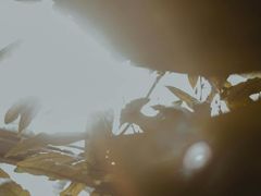 -维乐口腔医院(星海湾分院)