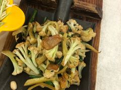 -邵年鸽(杨庄店)