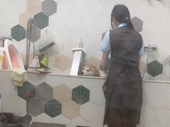 -瑞鹏宠物医院·骨科·猫科·内科(第一中心)