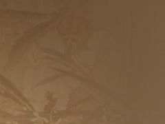 -瑞慈体检上海普陀机构