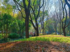 -徐家汇源景区-衡山公园