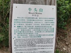 -印象普陀