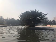 -上海市龙华烈士陵园