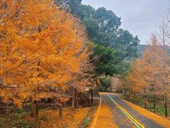 -福清灵石山国家森林公园