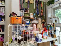 -唐小姐の私宠·宠物洗护美容·撸猫馆·购宠(周浦万达旗舰店)