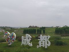 -空港花田景区