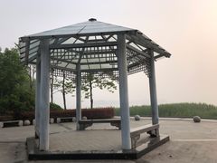 -长广溪湿地公园