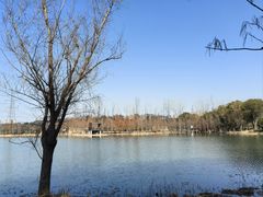 -昆山城市生态森林公园