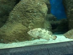 -大连圣亚海洋世界