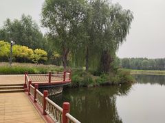 -东郊湿地公园