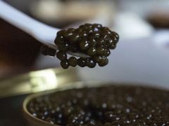 -LONG BAR 廊吧(外滩华尔道夫酒店)