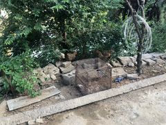 -沂蒙山旅游区云蒙景区(蒙山国家森林公园)