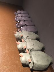 -奇幻丛林(佛罗伦萨小镇店)