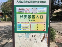 -东莞市大岭山森林公园