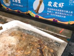 皮皮虾-盒马鲜生(曜一城店)