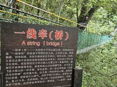 -大围山国家森林公园