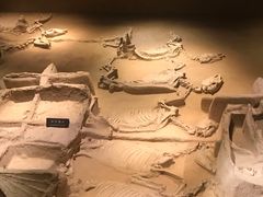 -洛阳周王城天子驾六博物馆