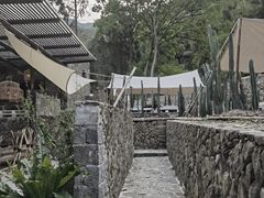 -MOJ coffee(瓯海泽雅水碓坑店)