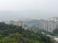 -金鸡山公园