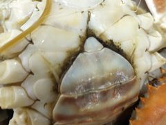 -老陈饭店(黑石支路店)