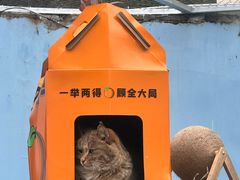 -青藏高原野生动物园
