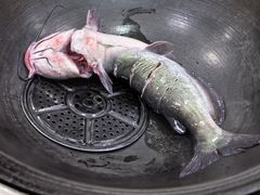 -北京龙庆四季香农家饭庄·灶台鱼·碳烤虹鳟鱼(龙庆峡店)