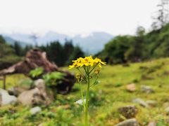 -硗碛藏寨·神木垒景区