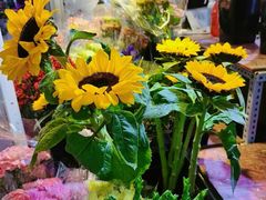 -三旗百汇商品城