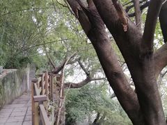 -山城巷传统风貌区