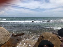 -广东惠东海龟国家级自然保护区