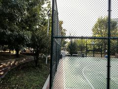 -大兴滨河森林公园