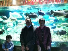 -成都浩海立方海洋公园