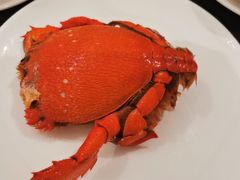 -安蒂娅·海鲜自助餐厅(安蒂娅美兰酒店)