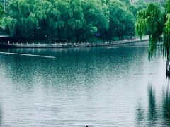 -南长河公园