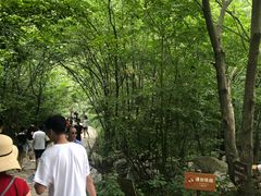 -青峰峡国家森林公园