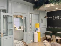 -安格丽娜·狗咖·猫咖羊驼咖(春熙路百盛商场店)