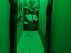 -MOJO密室逃脱(中街旗舰店)