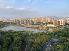 -飞凤山奥体公园