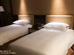 -合肥丰大国际大酒店